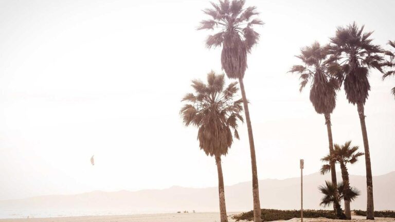 How Do Players Fix The 99Exch Otp Issue During Verification?